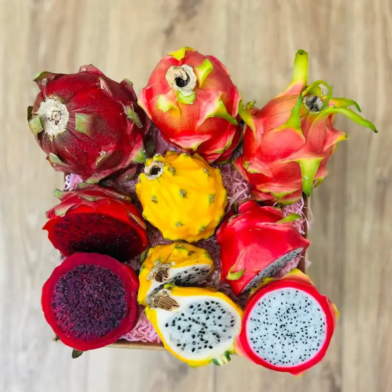 Dragon Fruit
