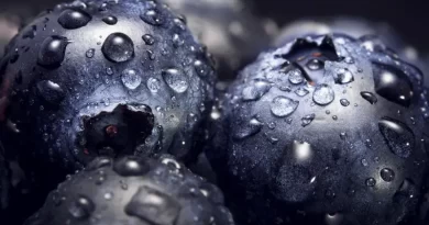 Fruits That Look Like Alien Eggs