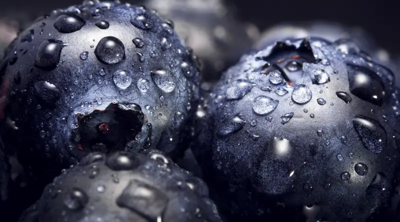 Fruits That Look Like Alien Eggs