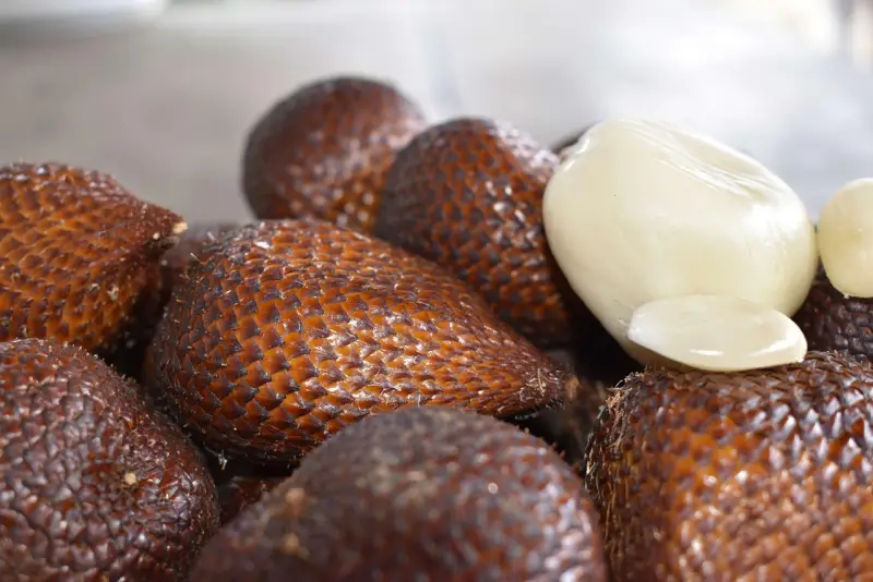Salak (Snake Fruit)