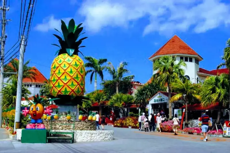 The Pineapple House - Okinawa, Japan
