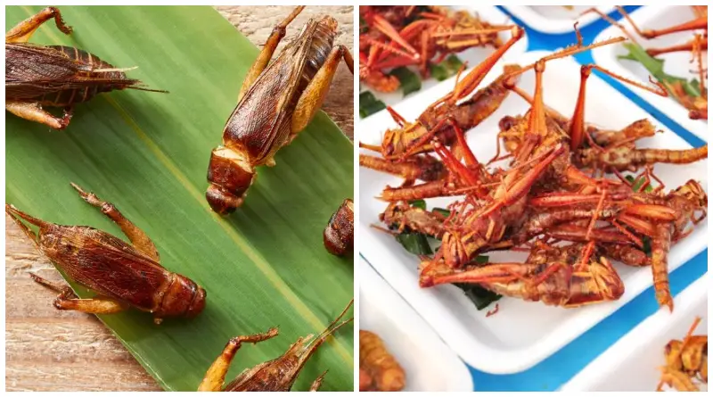 10 Foods From Around the World That Will Shock You 1