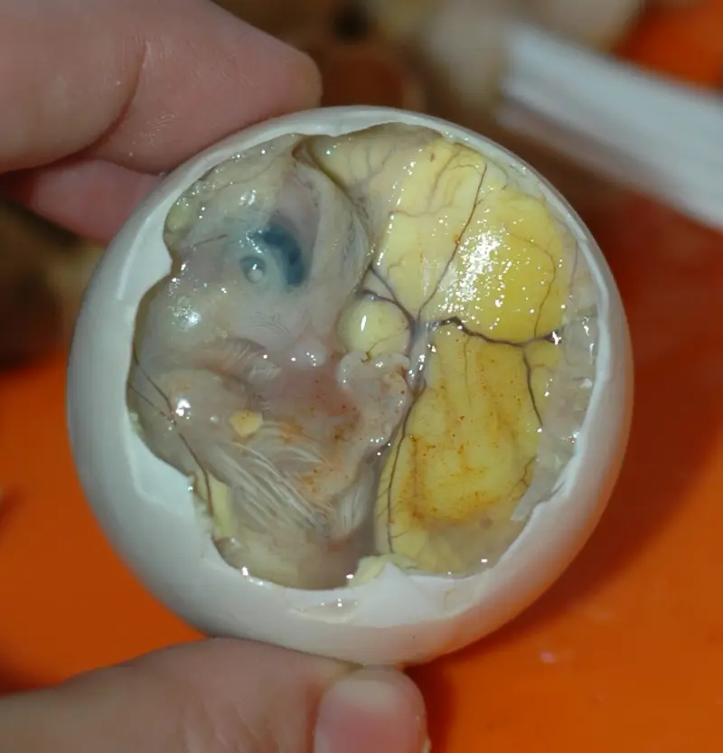 Balut (Philippines)