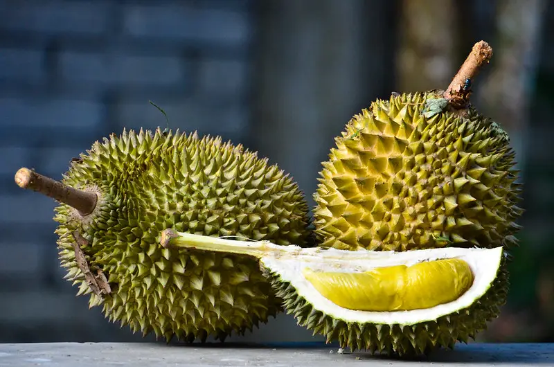 Durian (Southeast Asia)