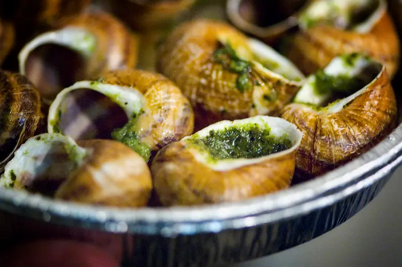 Escargot (France)