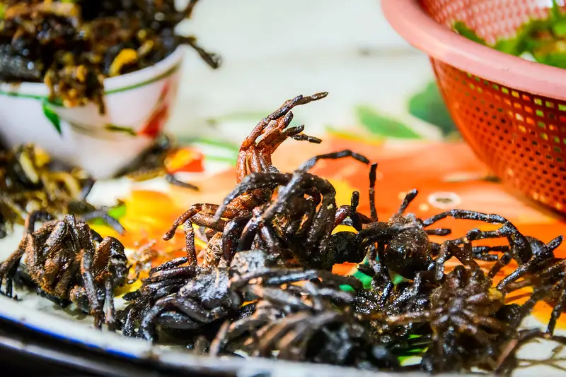 Fried Tarantulas (Cambodia)