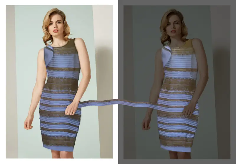 The Blue and Black (or White and Gold) Dress