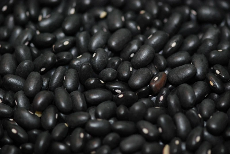 Black Beans