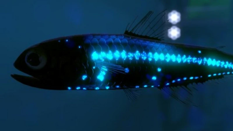 Glowing Lanternfish