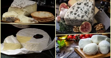 Top 10 Most Popular Types of Cheese Around the World